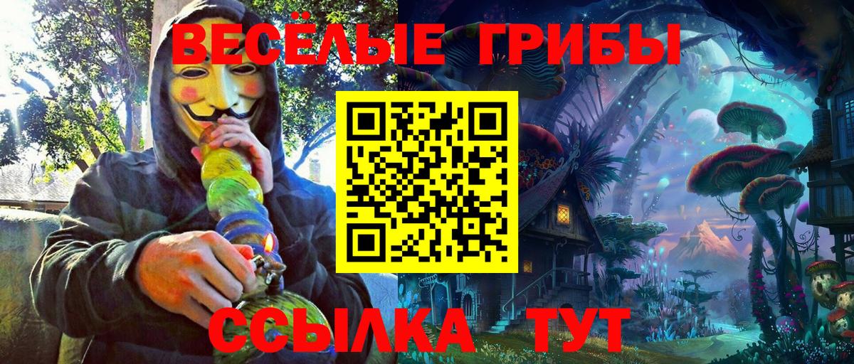 Великий Устюг  Галлюциногенные грибы ЛСД  Псилоцибиновые грибы Psilocybine cubensis  Вход с VPN 