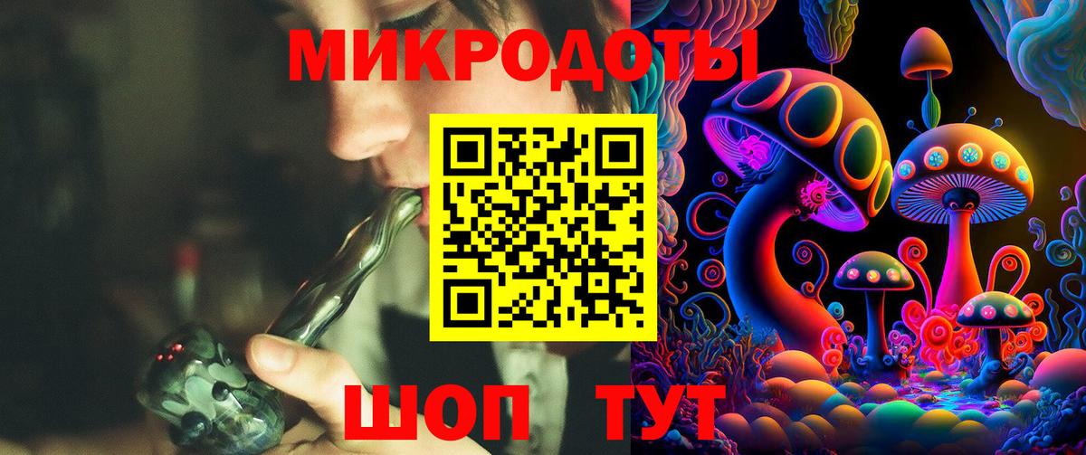 Псилоцибиновые грибы Psilocybe Великий Устюг
