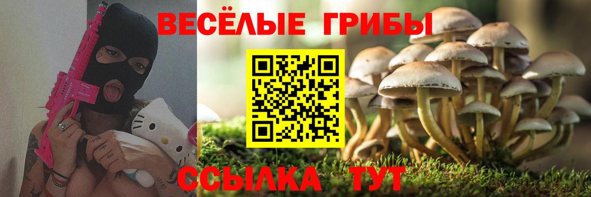 ГАШ  ГЕРОИН  Каннабис  LSD-25  Экстази  Купить наркоту  Великий Устюг  Меф кристаллы  Альфа ПВП СК кристаллы  КОКАИН  Вход с VPN 